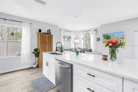 a view living room with a potted plant on the counter and sink