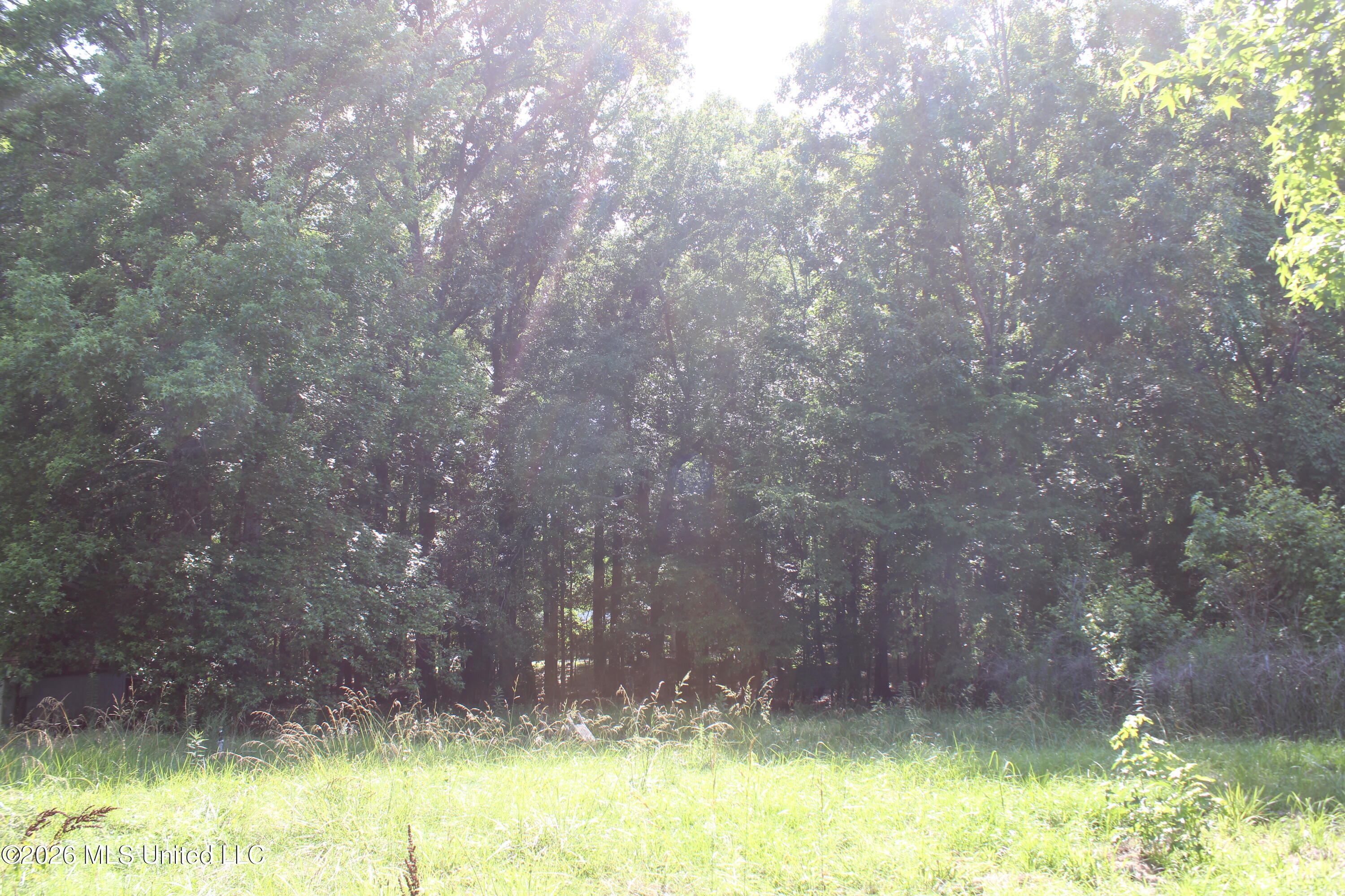 665 Briscoe Road Holly Springs, MS 38635 - Photo 12 of 18 IMG_7931