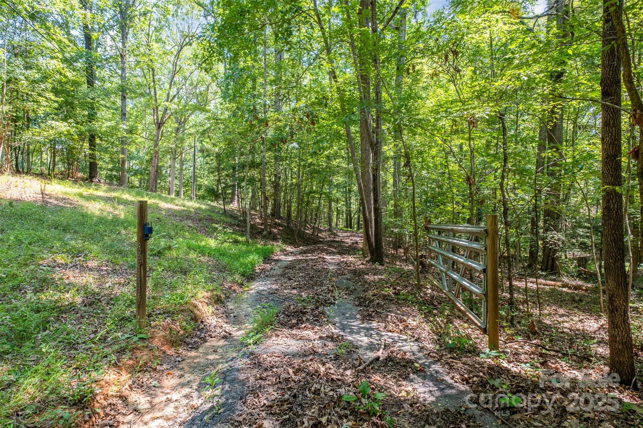 2300 Patterson Road Clover, SC 29710 - Photo 12 of 16 a view of a forest with trees