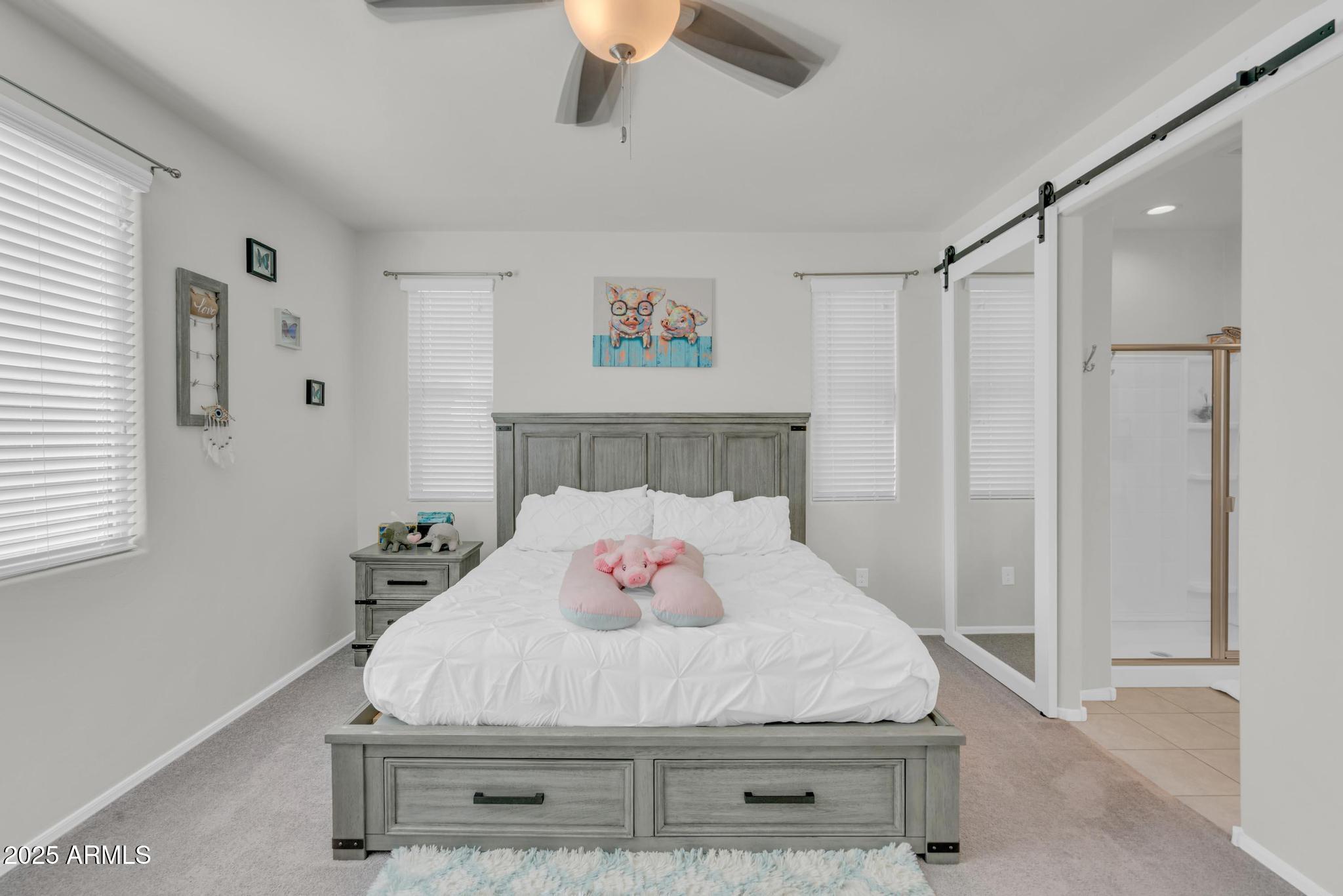 6556 East Via Arroyo Azul Tucson, AZ 85756 - Photo 43 of 75 Primary with Extra Windows