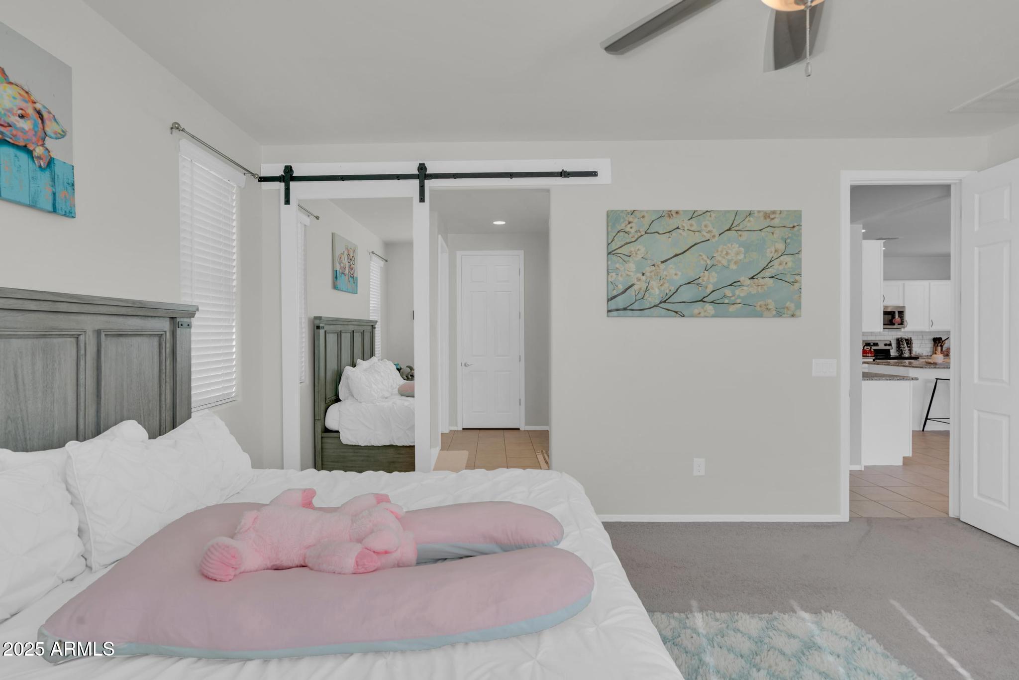 6556 East Via Arroyo Azul Tucson, AZ 85756 - Photo 44 of 75 Barn Door in primary