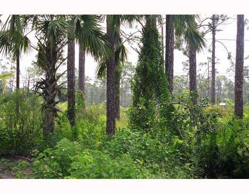 1487 C Road Loxahatchee, FL 33470 - Photo 1 of 8 Primary Photo