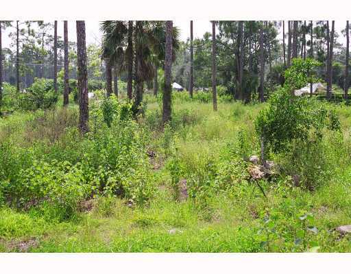 1487 C Road Loxahatchee, FL 33470 - Photo 2 of 8 Additional Photo