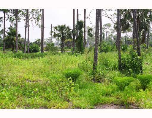 1487 C Road Loxahatchee, FL 33470 - Photo 6 of 8 Additional Photo