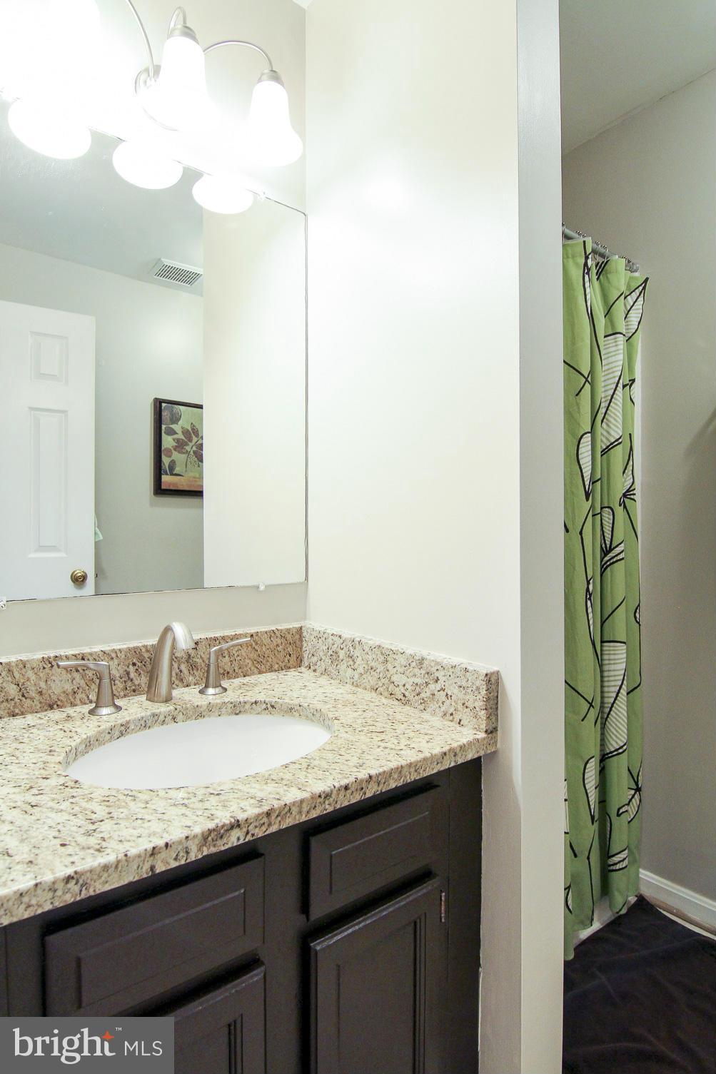 3829 9th Road South Arlington, VA 22204 - Photo 16 of 22 Bath