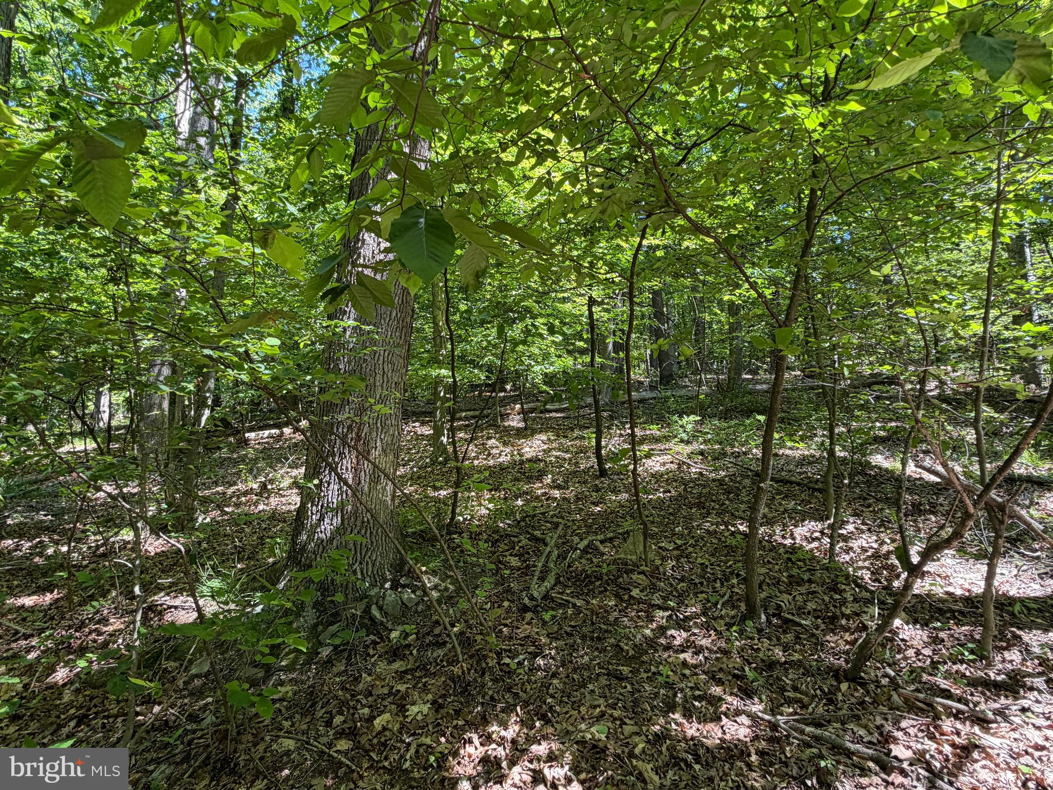 944 Decker Hollow Road Tyrone, PA 16686 - Photo 31 of 82