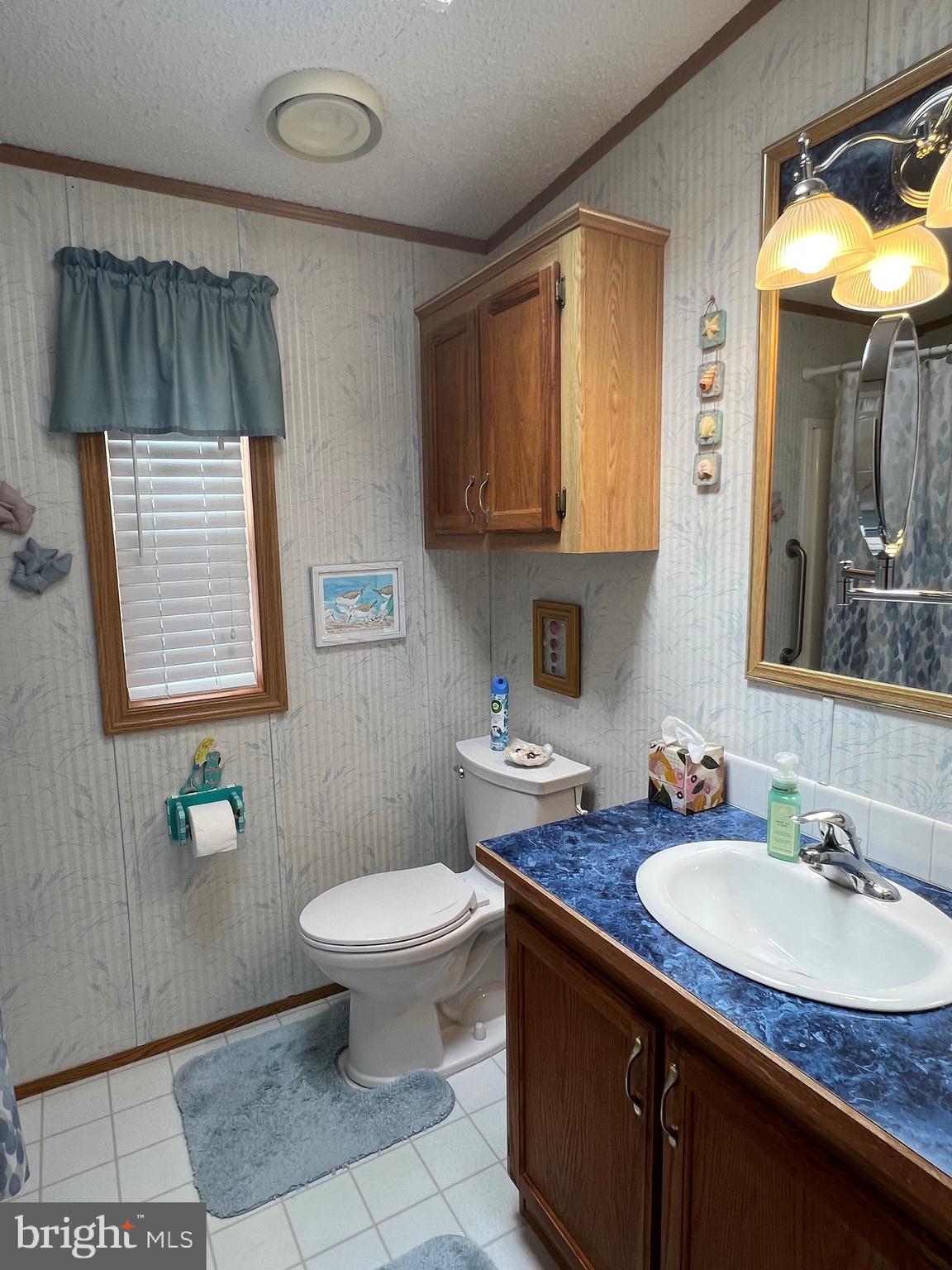 12054 Assateague Way Berlin, MD 21811 - Photo 16 of 95 Bathroom