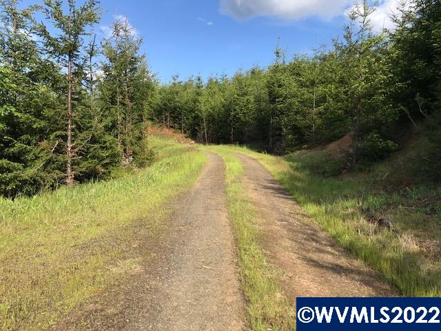 0 Old Military (frontage) Road Dallas, OR 97338 - Photo 5 of 12