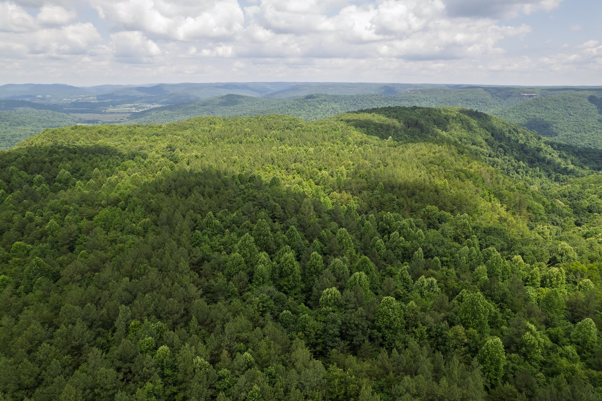 0 Flat Rock Road Jamestown, TN 38556 - Photo 6 of 20
