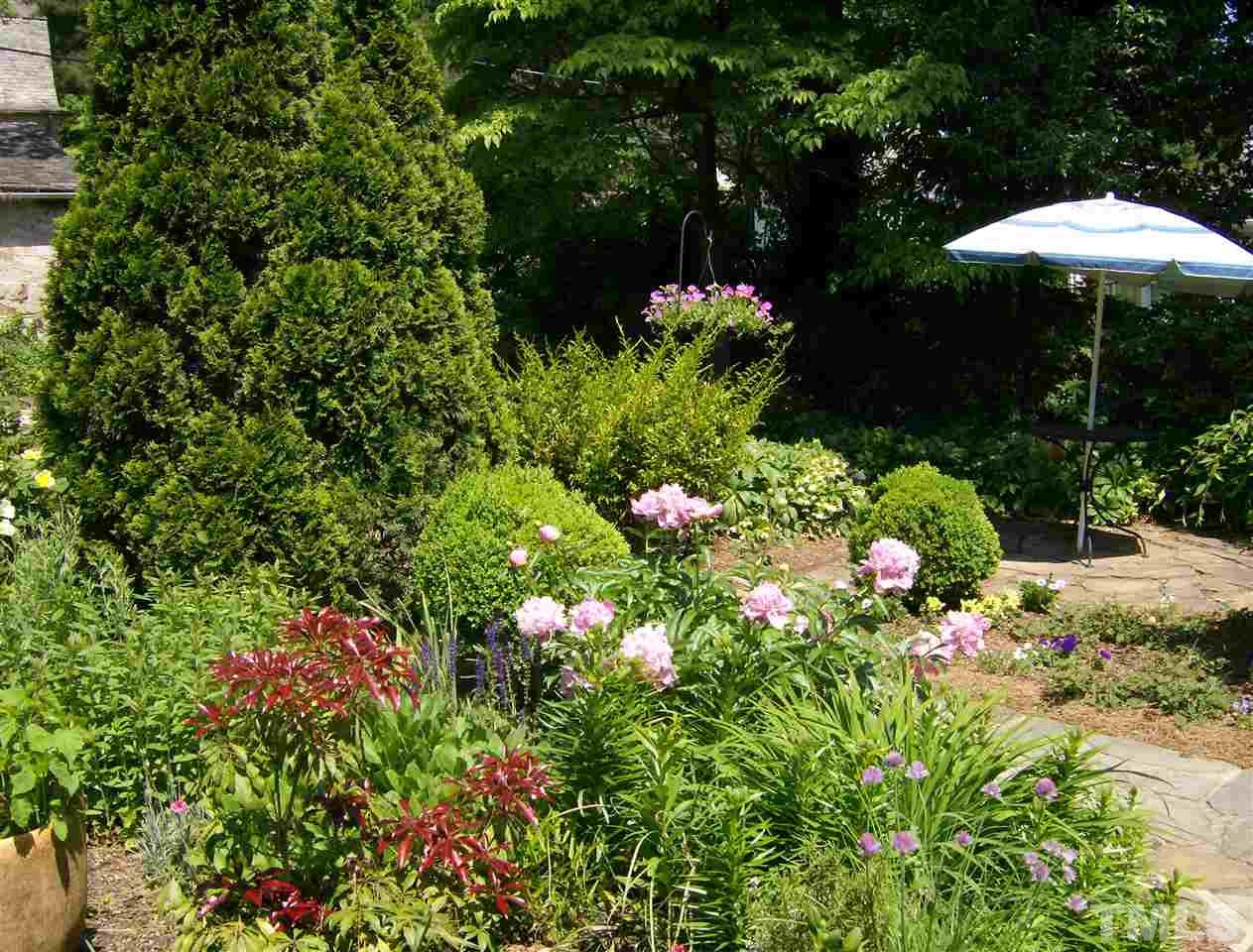 221 Forest Road Raleigh, NC 27605 - Photo 23 of 25 a view of a garden with a fountain