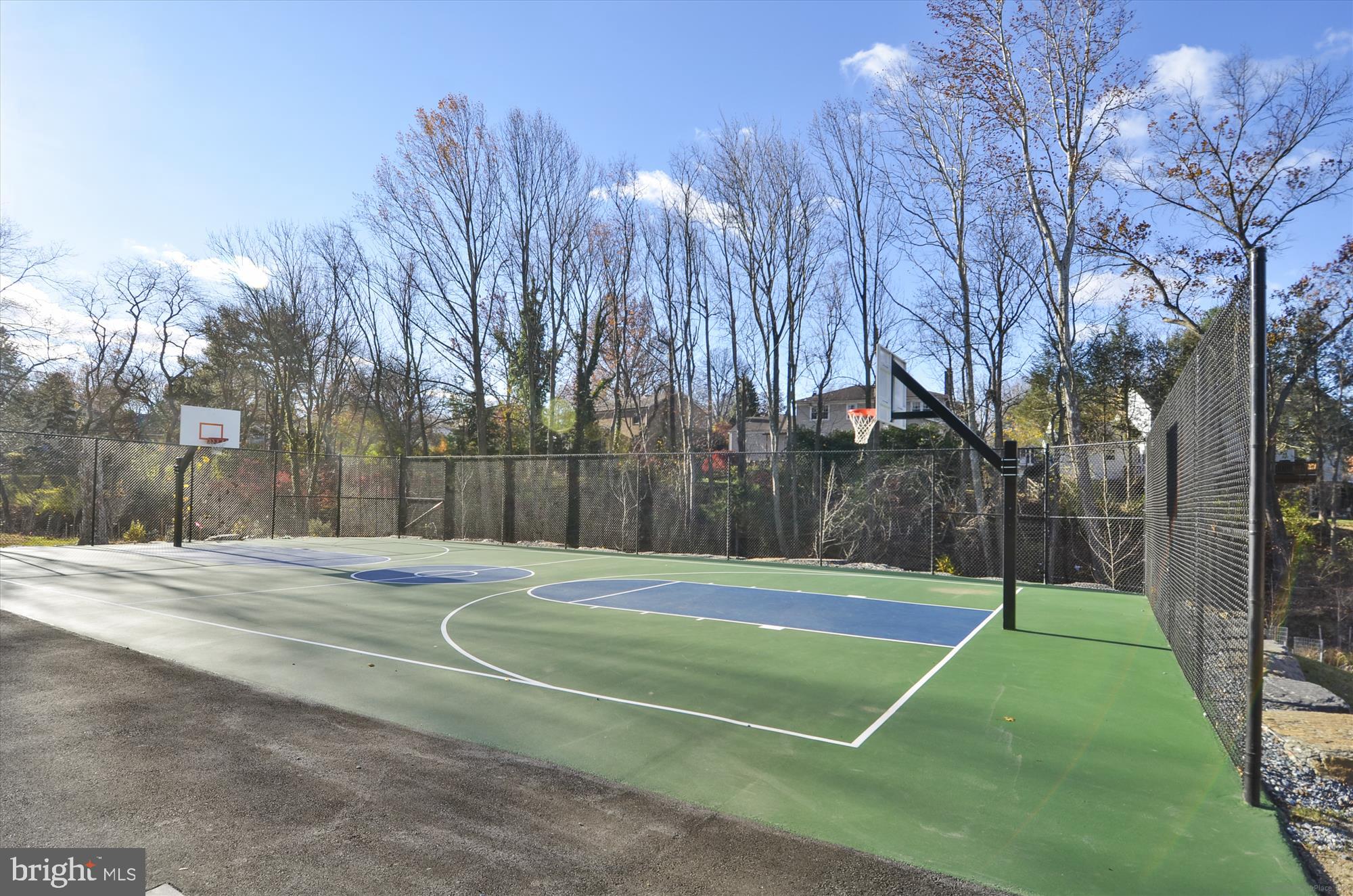 1503 Blue Meadow Road Potomac, MD 20854 - Photo 47 of 51 Horizon Hill Basketball Court