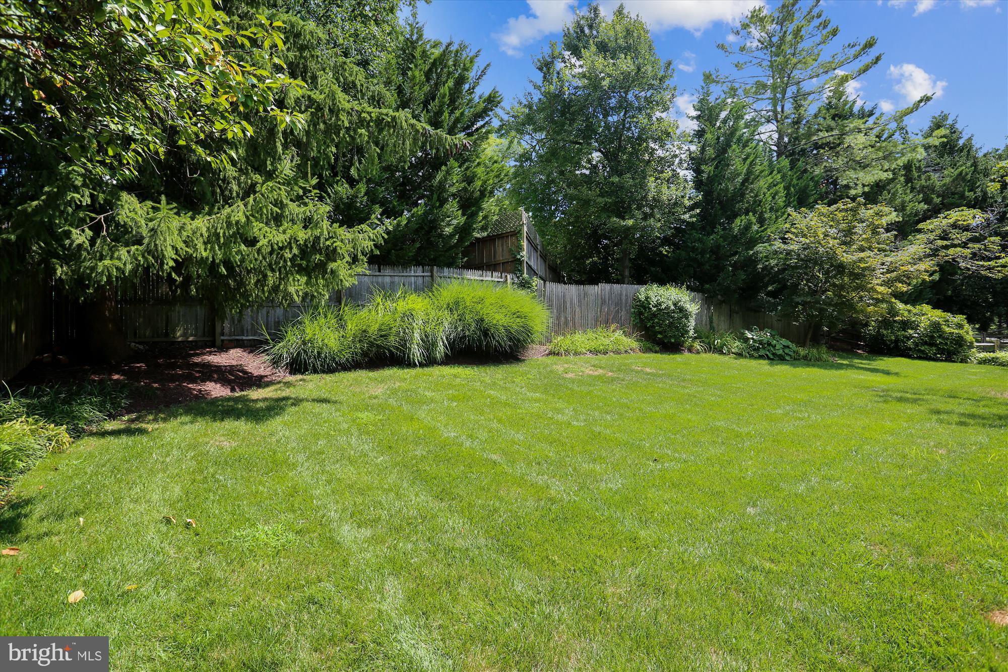 1503 Blue Meadow Road Potomac, MD 20854 - Photo 9 of 51 Back Yard