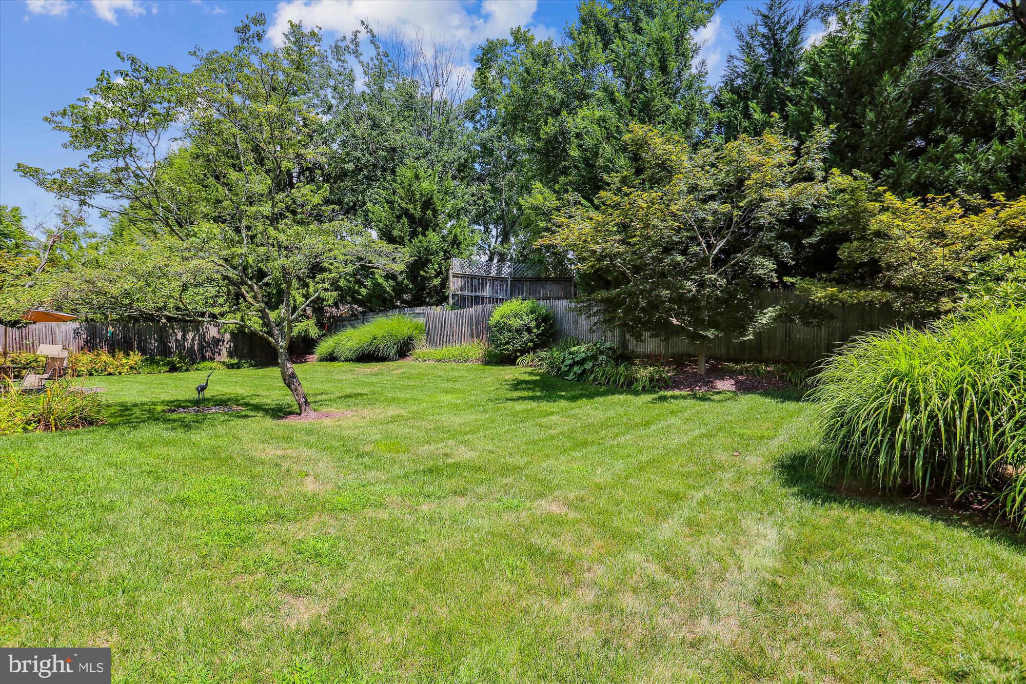 1503 Blue Meadow Road Potomac, MD 20854 - Photo 10 of 51 Back Yard