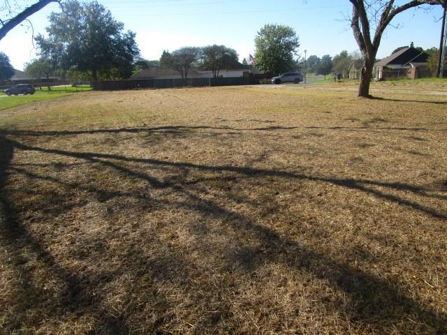 18215 Hoo Shoo Too Road Baton Rouge, LA 70817 - Photo 21 of 25