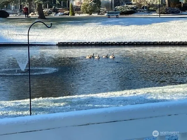 a view of a water fountain
