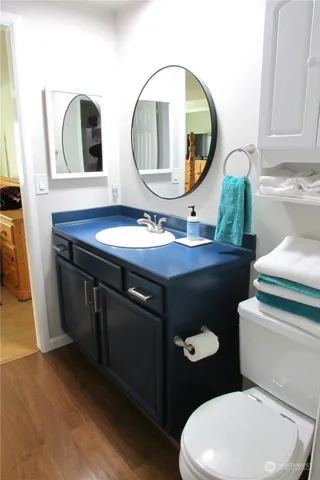 a bathroom with a toilet sink vanity and mirror