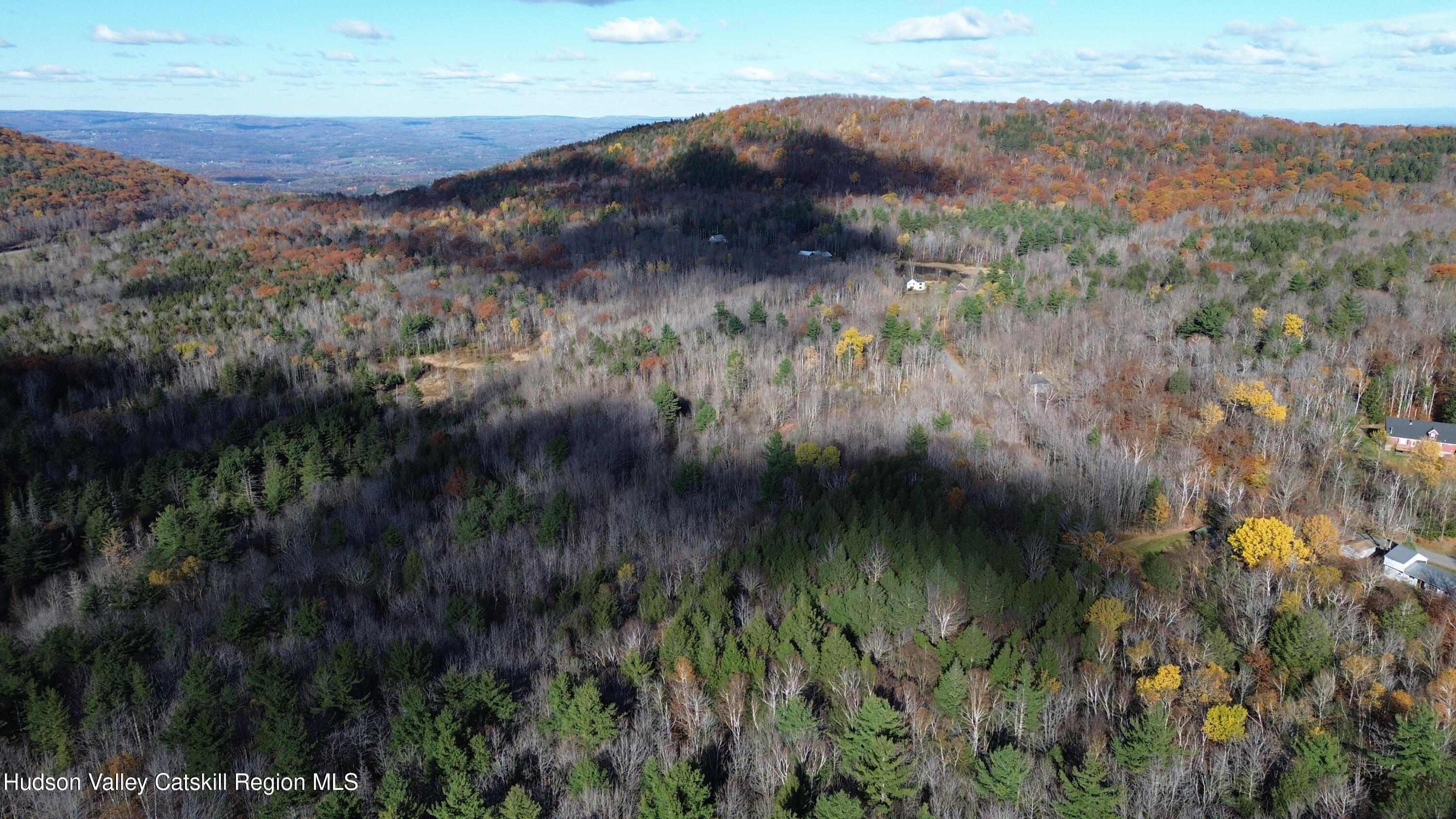 0 High Peak Road Hensonville, NY 12439 - Photo 11 of 17 a view of a lush green forest with lots of trees