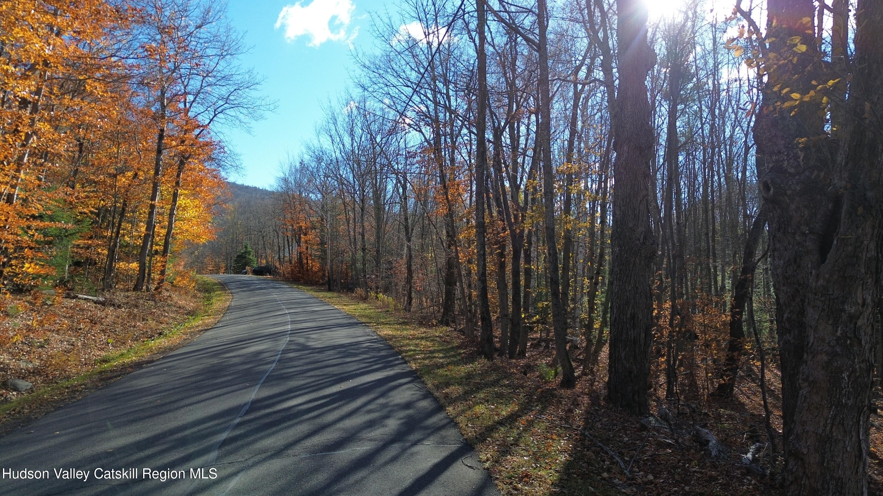 0 High Peak Road Hensonville, NY 12439 - Photo 13 of 17 a view of a backyard