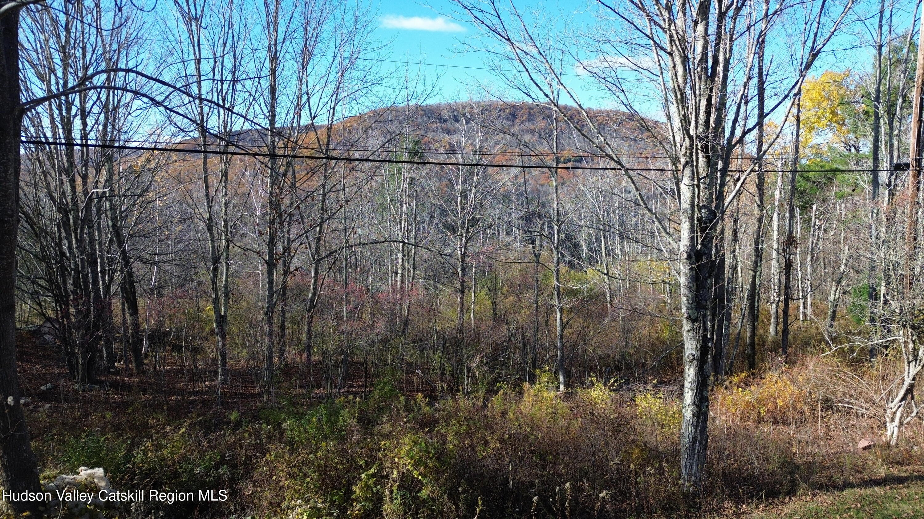 0 High Peak Road Hensonville, NY 12439 - Photo 14 of 17 a backyard of a house with lots of green space