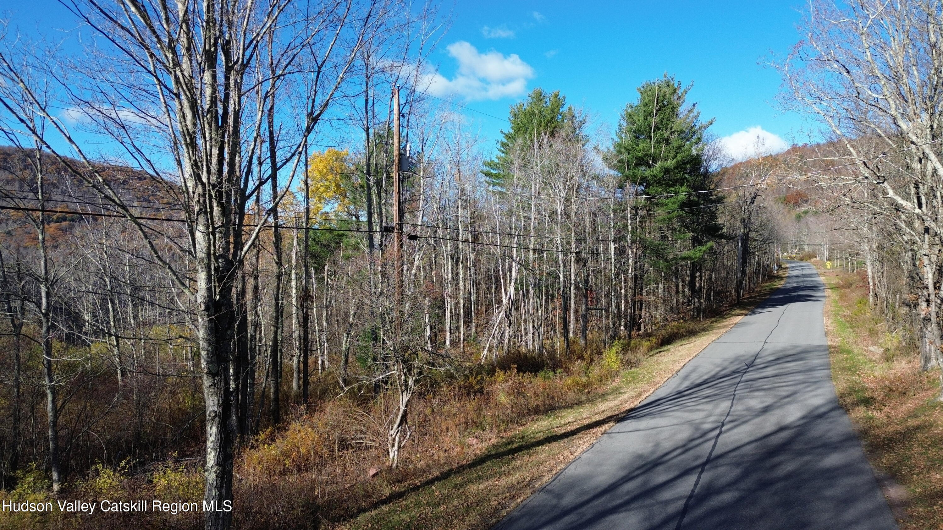 0 High Peak Road Hensonville, NY 12439 - Photo 15 of 17 a view of a pathway of a house
