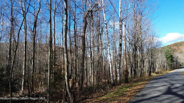 $599,000 | 0 High Peak Road, Hensonville, NY 12439