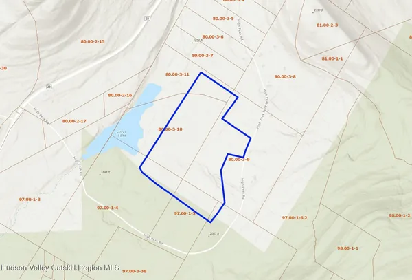 a view of wooden floor with a palm tree in the background