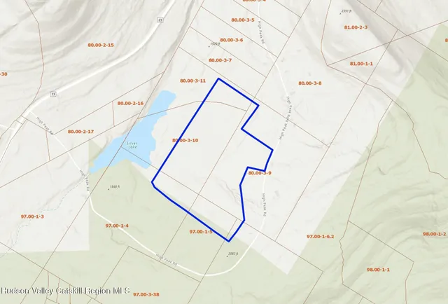 a view of wooden floor with a palm tree in the background