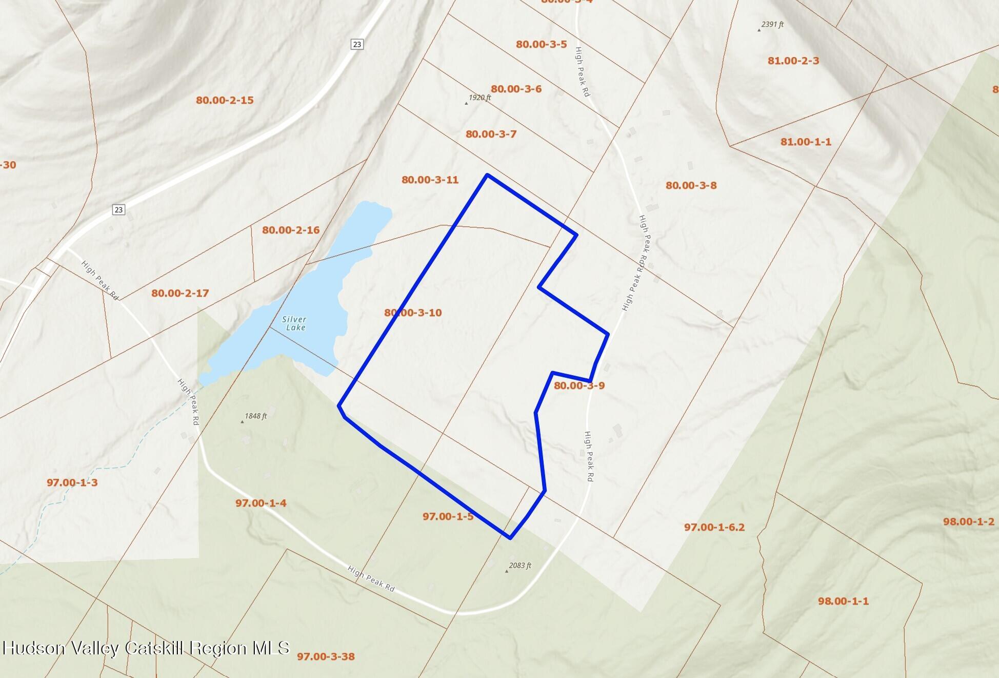 0 High Peak Road Hensonville, NY 12439 - Photo 3 of 17 a view of wooden floor with a palm tree in the background