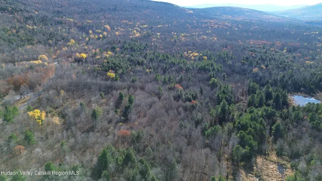 a view of a tree with a house