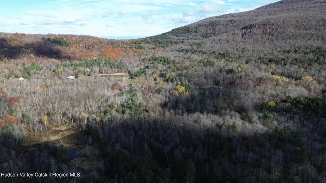 a view of a dry yard with mountains in the background