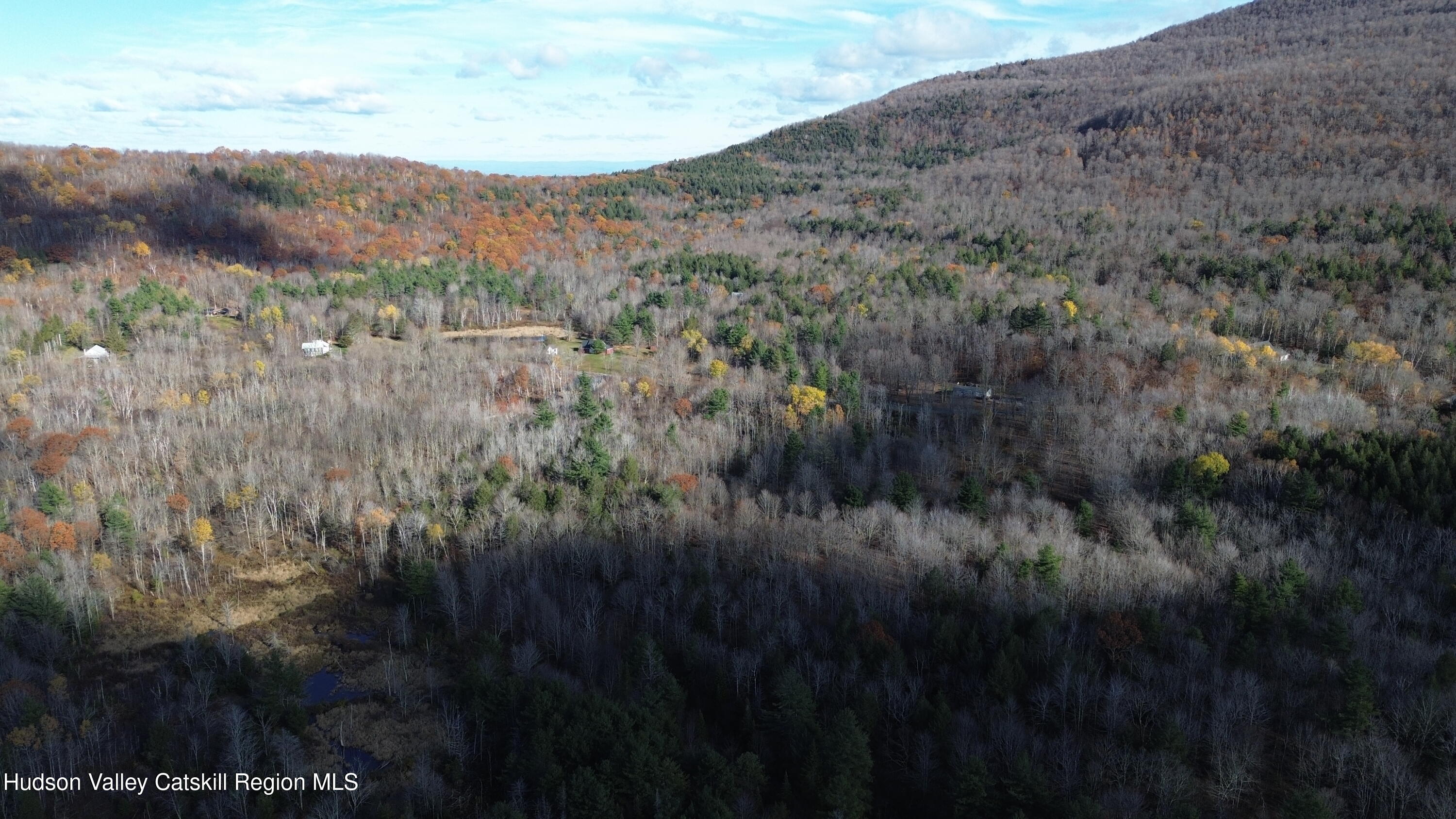 0 High Peak Road Hensonville, NY 12439 - Photo 7 of 17