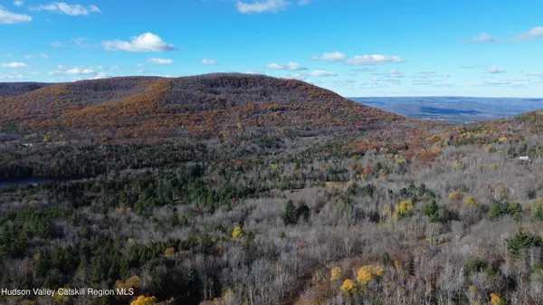 a view of a lush green forest with lots of trees