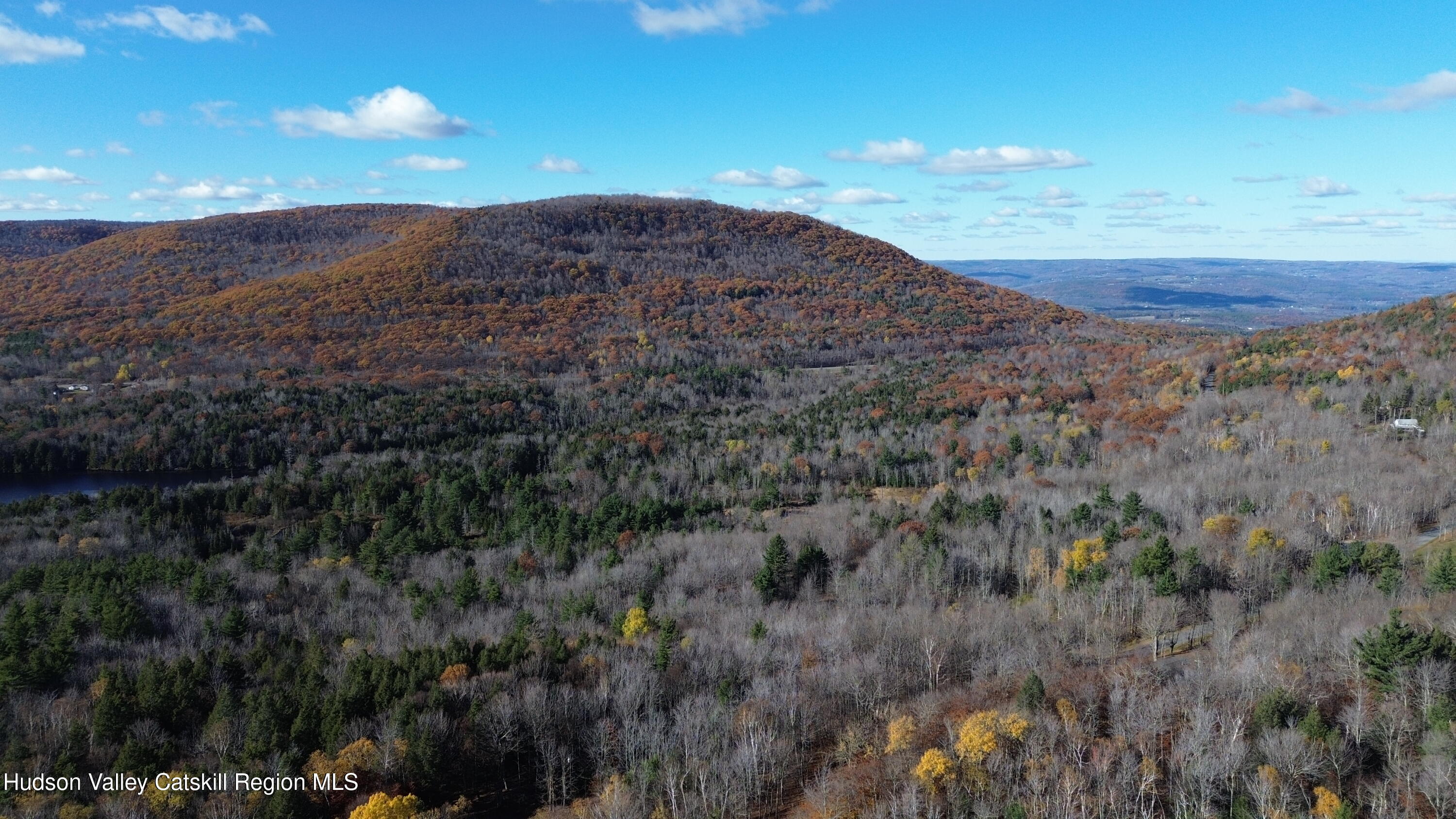 0 High Peak Road Hensonville, NY 12439 - Photo 9 of 17 a view of a dry yard with mountains in the background