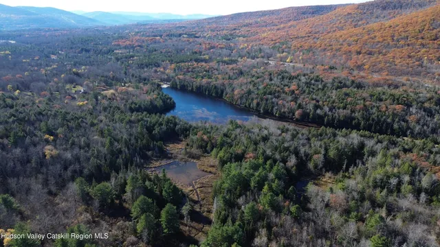 a view of a lake in middle of a field