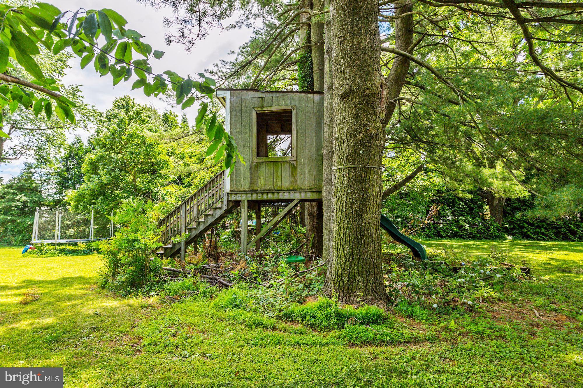 4656 Linthicum Road Dayton, MD 21036 - Photo 30 of 42 Tree House