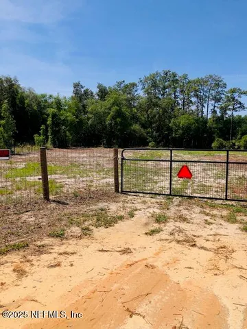 a view of a yard with a tree