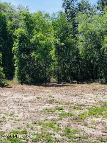 a view of a swimming pool with a yard