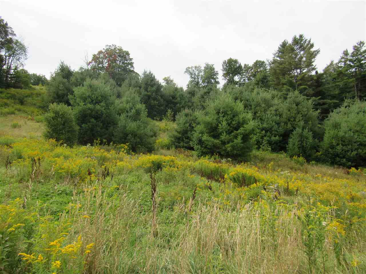 1292 Vermont Rte 100 Lowell, VT 05847 - Photo 35 of 40