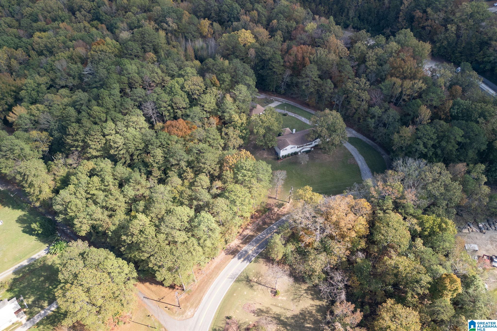 905 Old Grants Mill Road Birmingham, AL 35210 - Photo 43 of 57