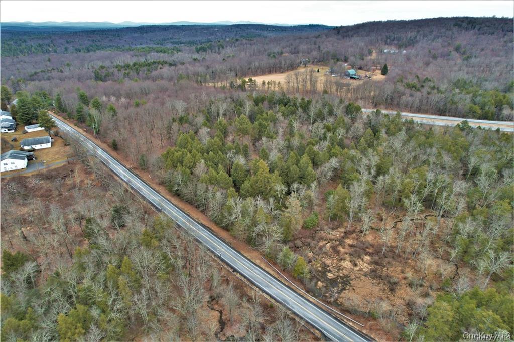 Lot 5.4 Kaufman Road Monticello, NY 12701 - Photo 13 of 45