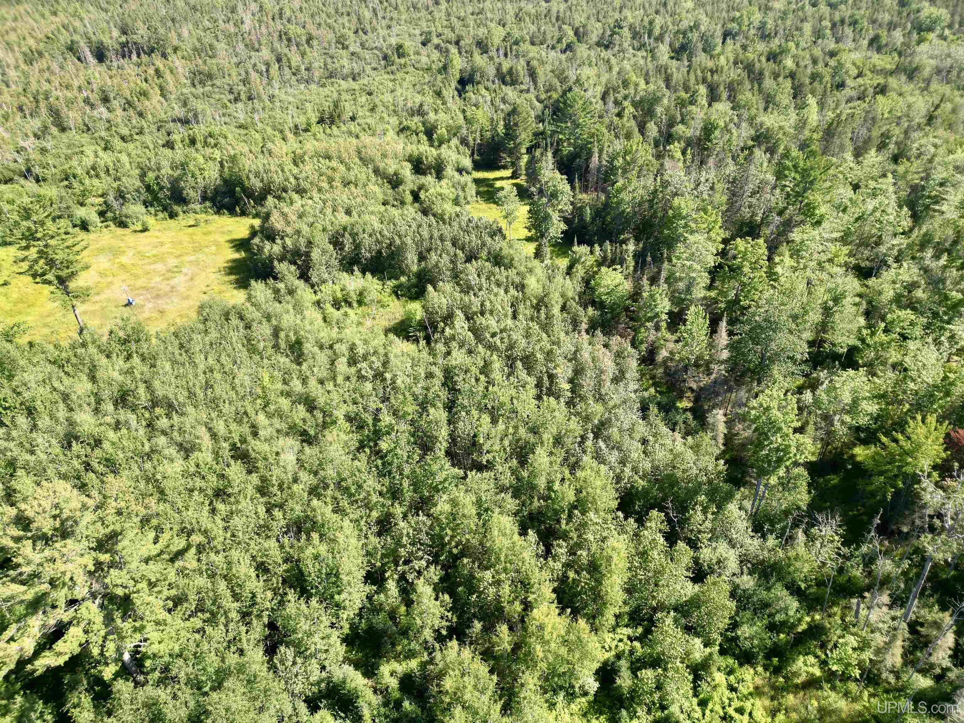 8357 School 16 Road Rapid River, MI 49878 - Photo 35 of 47