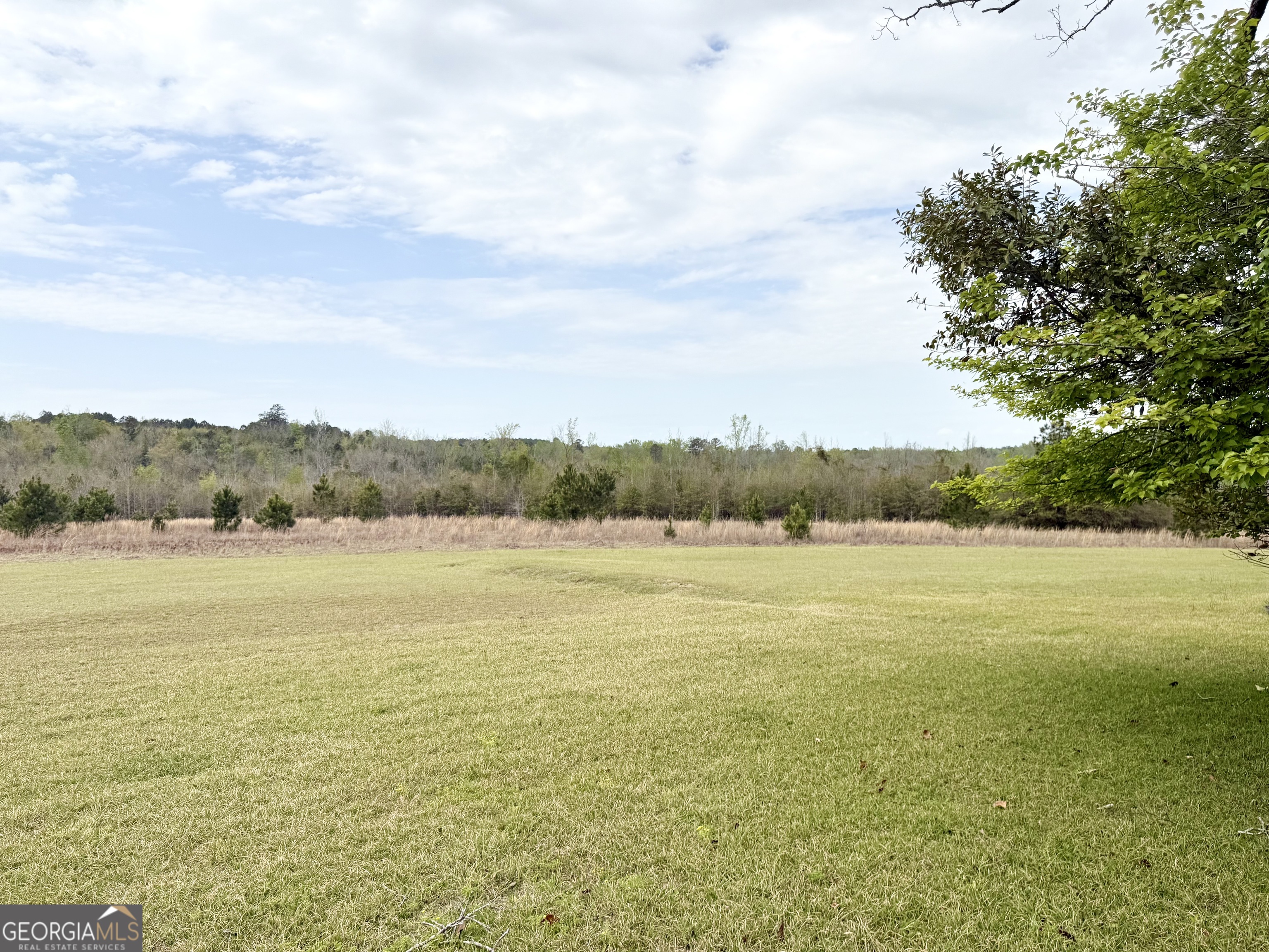 2235 Long Branch Road Toomsboro, GA 31090 - Photo 8 of 32