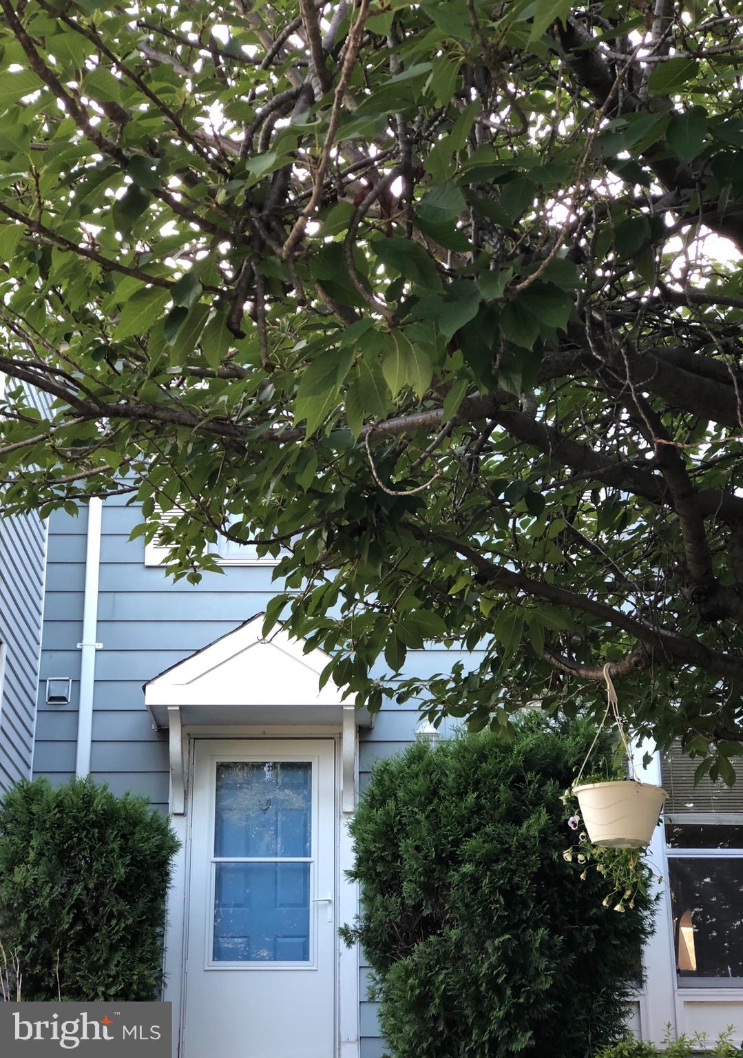 4 Hyacinth Road Baltimore, MD 21234 - Photo 1 of 33 a front view of a house with a tree