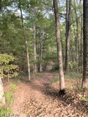 0 Cincinnati Ridge Road Coolville, OH 45723 - Photo 8 of 15 Trails