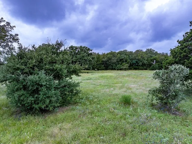 a view of a green field with lots of bushes