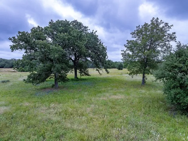 a view of grassy field with trees