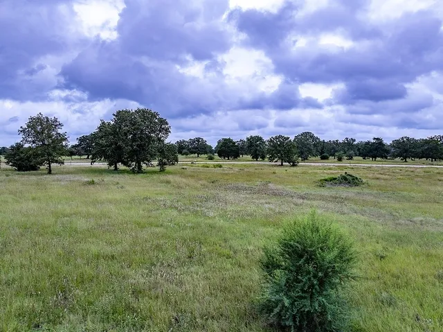 a view of a golf course with a lake