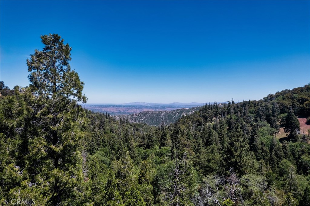 0 Mojave Road Cedarpines Park, CA 92322 - Photo 28 of 41