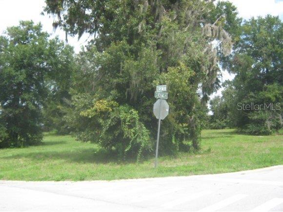 Lot 1 Northeast Lot Road Ocala, FL 34471 - Photo 1 of 1 Primary Photo