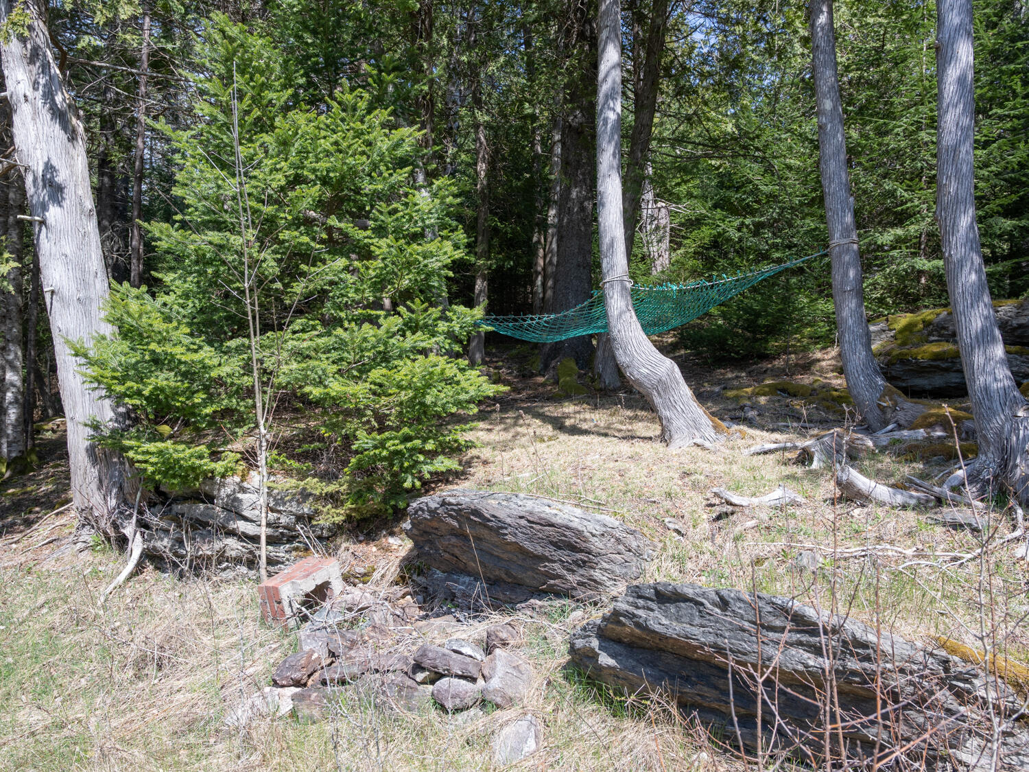 407 East Side Road Hancock, ME 04640 - Photo 45 of 47 Landscape